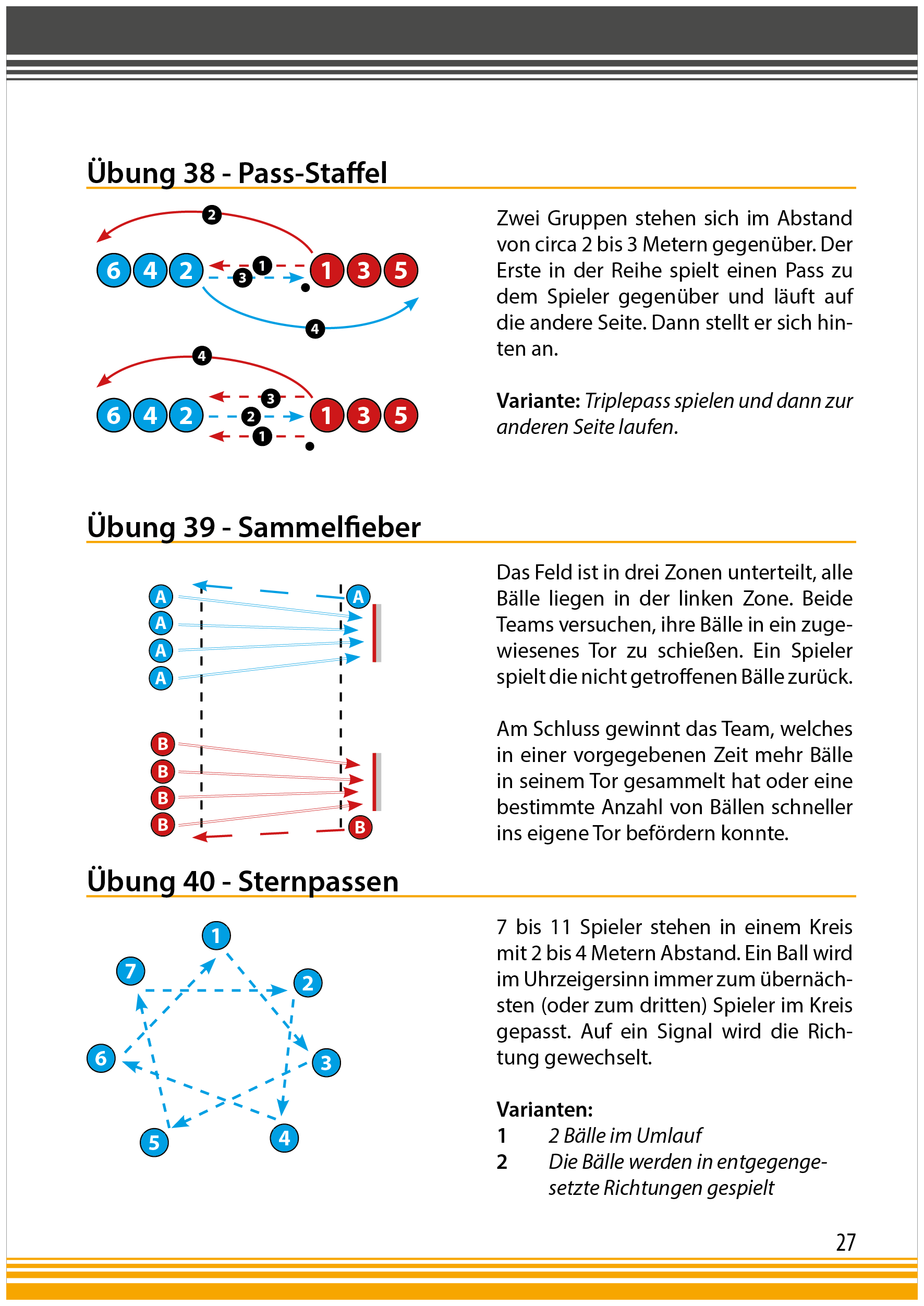 Floorball Basics 1 - Fachbuch mit Grundlagen, Technik und Übungen